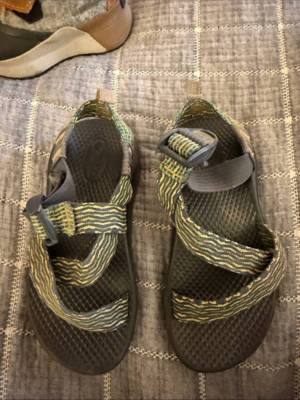 Toddler/ young kids Chaco Sandals in Olive Green